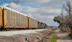 CSX Train